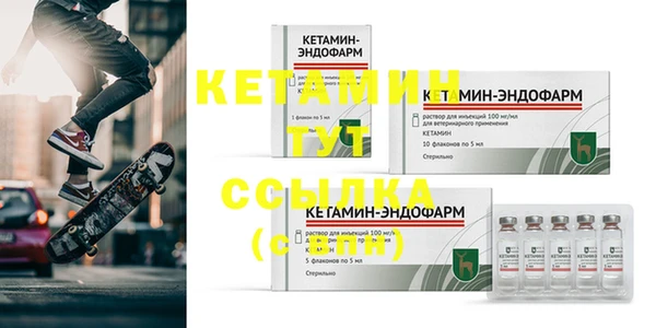 прущие грибы Заводоуковск
