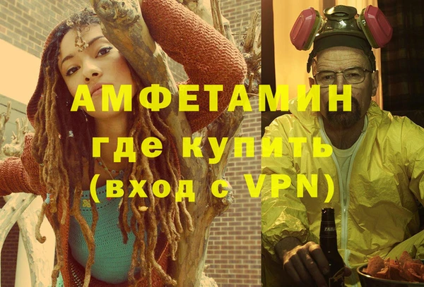прущие грибы Заводоуковск