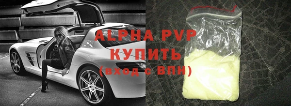 прущие грибы Заводоуковск