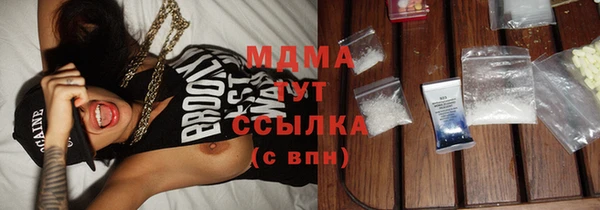 прущие грибы Заводоуковск