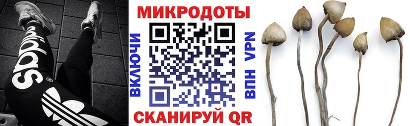 купить наркотики сайты  сайты даркнета Telegram  Галлюциногенные грибы Psilocybe  Фёдоровский 